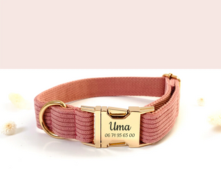 Collier velours cÎtelé - Corail