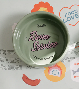 Gamelle verte pour chien