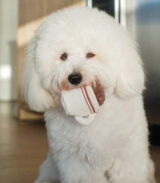 Jouet pour chien "Expresso"