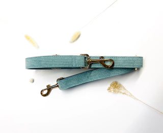 Laisse velours côtelé - Bleu ciel