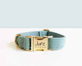 Collier velours cÎtelé - Bleu ciel