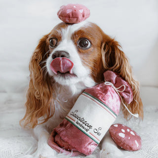 Jouet pour chien - Saucisson sec