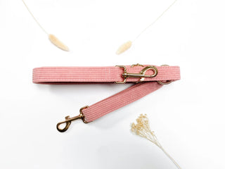 Laisse velours côtelé - Corail