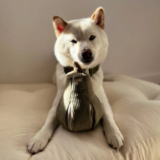 Jouet pour chien "Butternut"