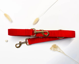 Laisse multiposition - Velours rouge