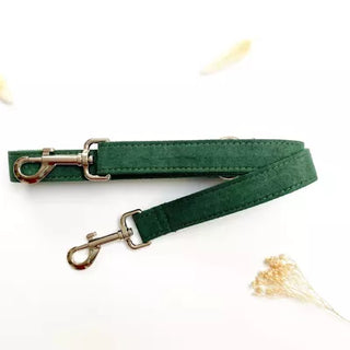Laisse velours côtelé - Vert sapin
