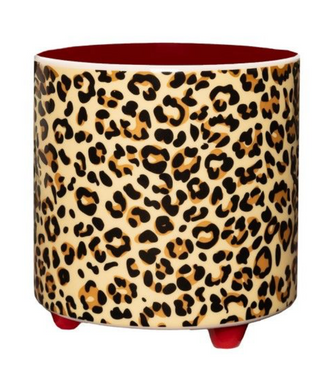 Pot pour plante léopard