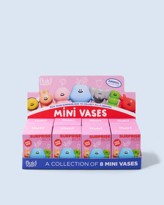 Surprise Box Animaux