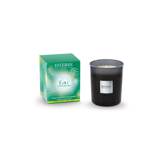 Bougie "Eau d'amazonie"